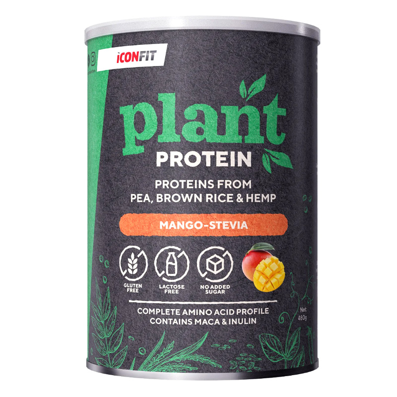 Iconfit Plant Protein – Mango-Stevia 480g